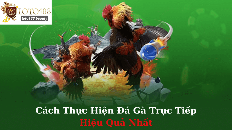 Thế Giới Đá Gà Trực Tiếp